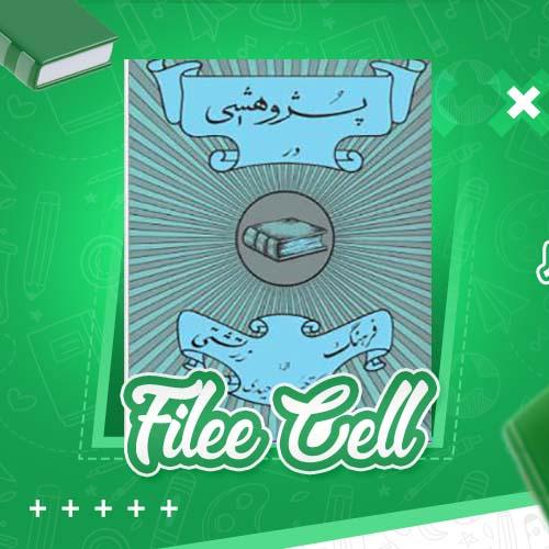 دانلود کتاب پژوهشی در فرهنگ زرتشتی دکتر حسین وحیدی (PDF) 139 صفحه